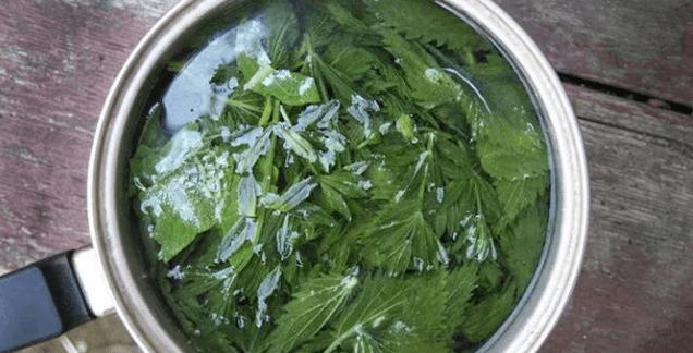 Tratament pentru căderea părului cu remedii populare